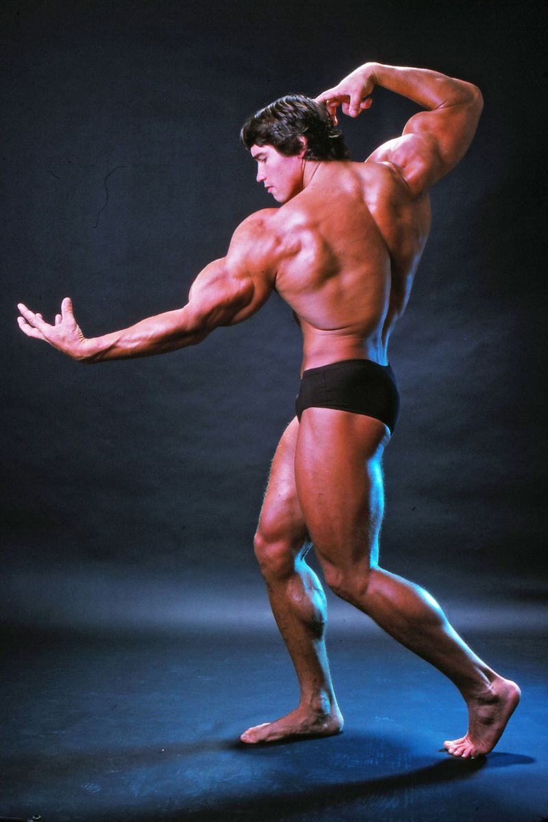 schwarzenegger arnold