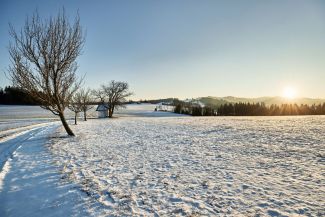 Campo de nieve