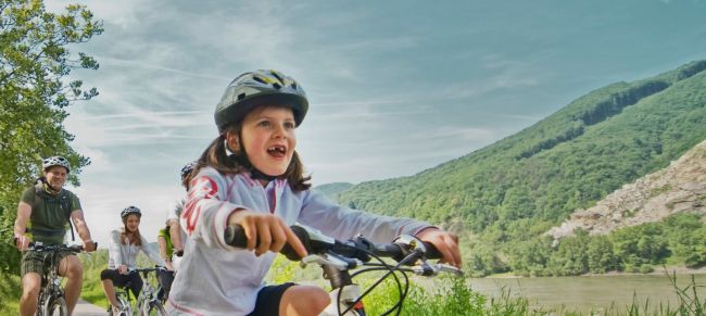 Passau Viena con niños