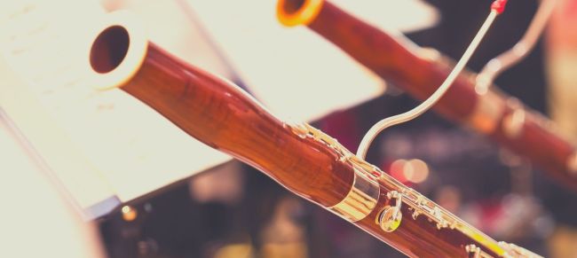 Oferta viaje concierto Viena