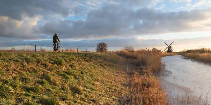 bici holanda con niños