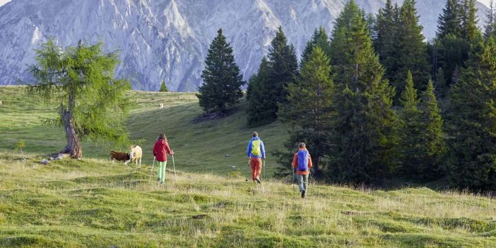 ⓒ Christian Vorhofer Caminando por el Tirol